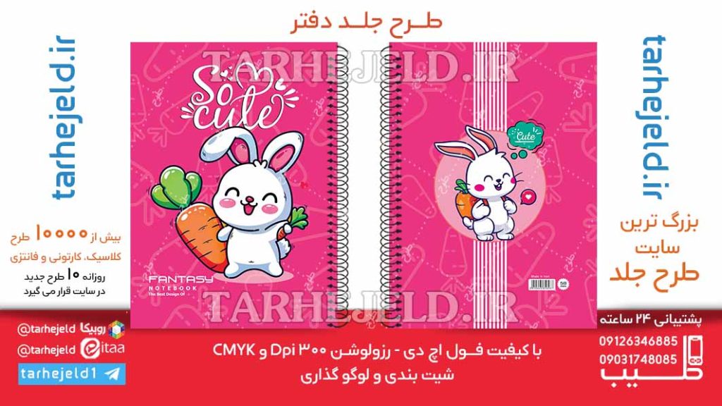 دانلود طرح لایه باز جلد دفتر فانتزی هویج کد06489